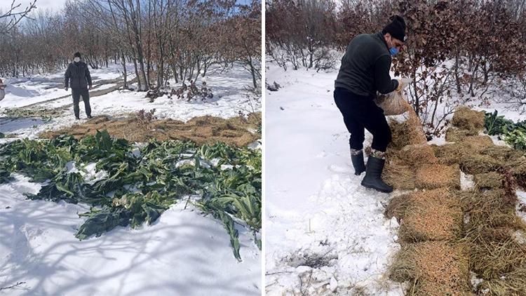 Tekirdağda yaban hayvanları için yem bırakıldı