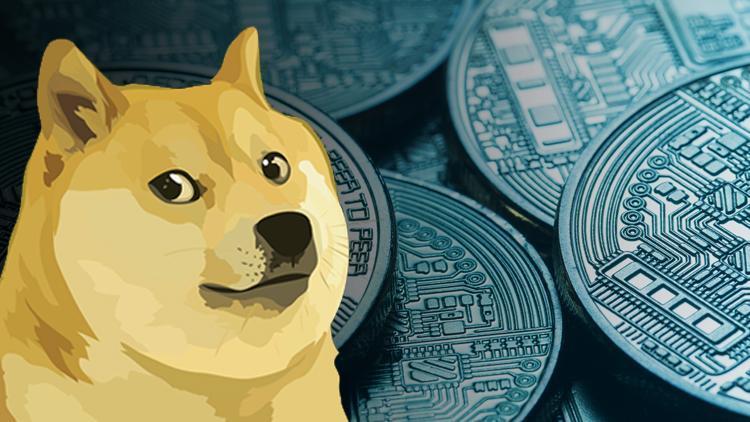 DogeCoinde gerçekler ortaya çıkıyor En büyük yatırımcısı Robinhood mu