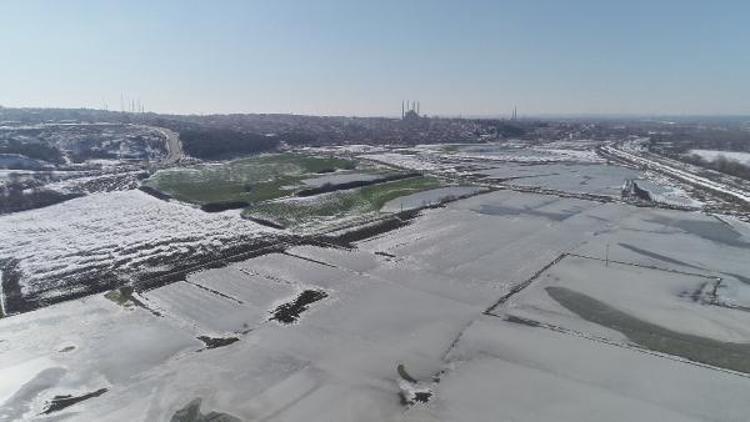 Edirnede hava sıcaklığı eksi 11 dereceye düşünce tarlalar buz tuttu