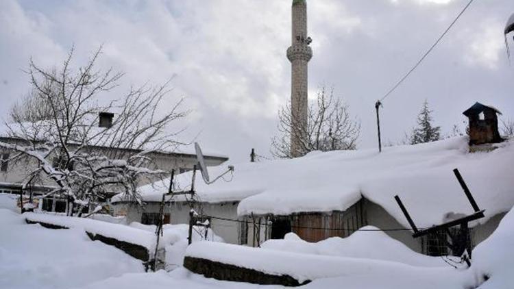 Bitlis’te 115 köy yolu, kardan kapandı