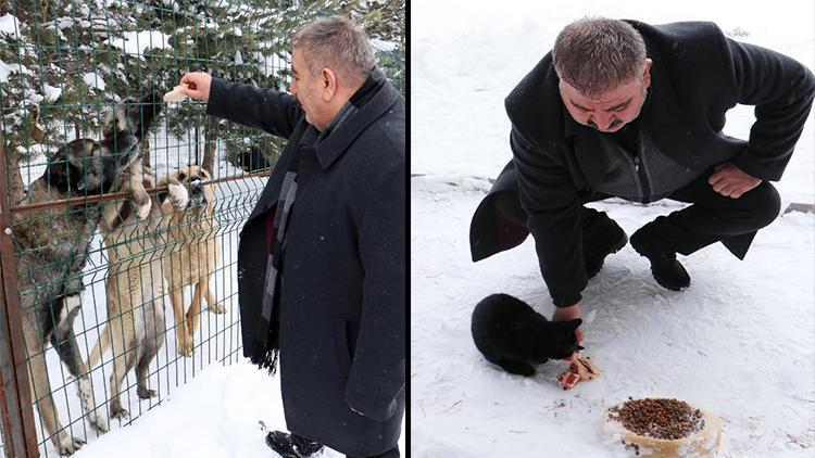 Palandöken Belediye Başkanı Sunar, elleriyle sokak hayvanlarını besledi