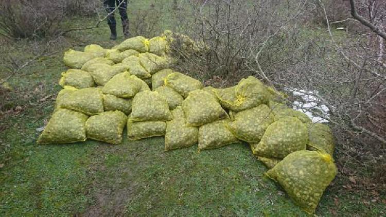 Yunanistana kaçırılmak istenilen 750 kilo midye, ormanlık alanda bulundu