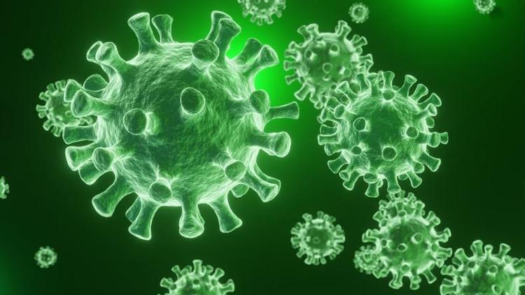 Koronavirüs ne zaman bitecek.. DSÖden heyecanlandıran açıklama