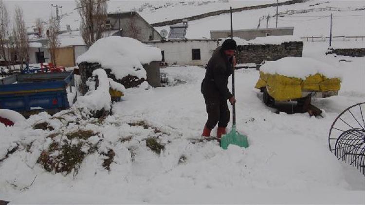 Karslı çiftçinin beyaz altını; kar