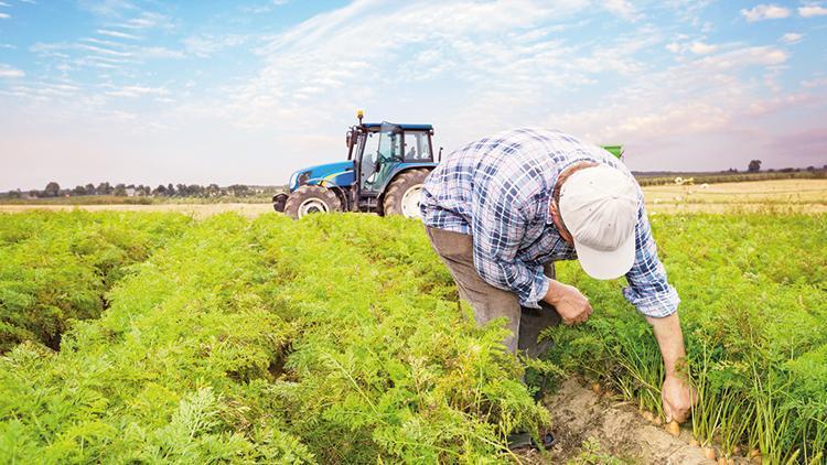 20 milyon lira çiftçinin cebinde kaldı