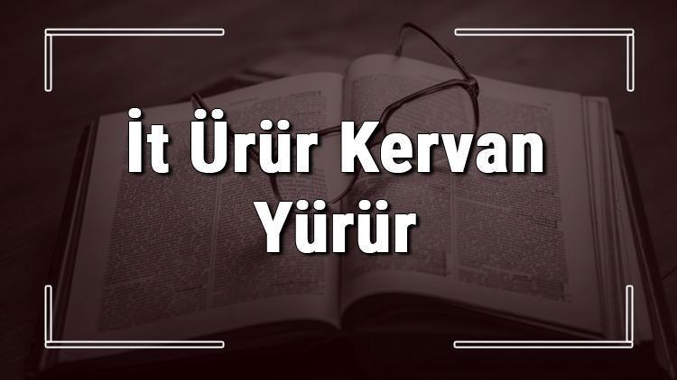 İt Ürür Kervan Yürür atasözünün anlamı ve örnek cümle içinde kullanımı (TDK)