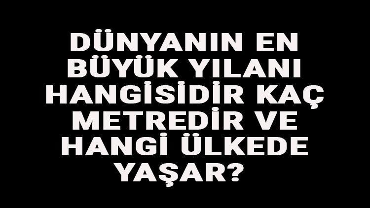 Dünyanın En Büyük Yılanı Hangisidir, Kaç Metredir Ve Hangi Ülkede Yaşar