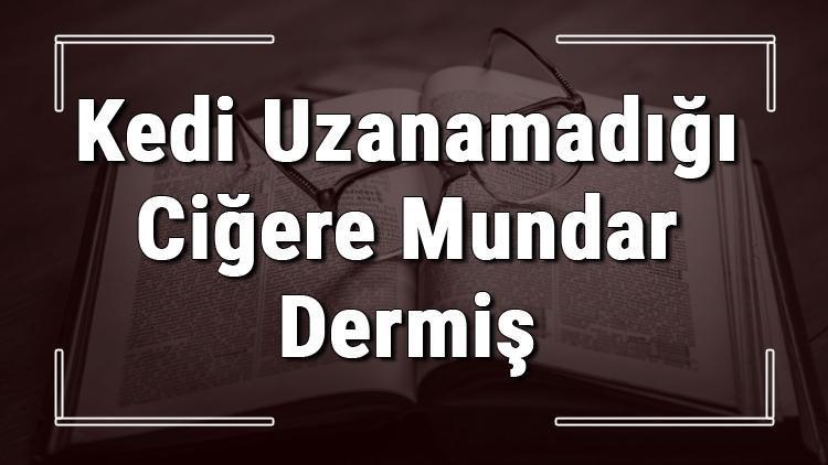 Kedi Uzanamadığı Ciğere Mundar Dermiş atasözünün anlamı ve örnek cümle içinde kullanımı (TDK)