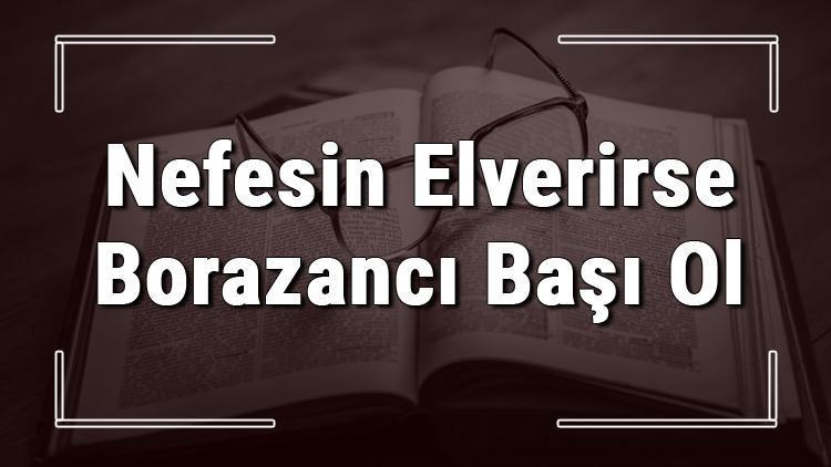 Nefesin Elverirse Borazancı Başı Ol atasözünün anlamı ve örnek cümle içinde kullanımı (TDK)