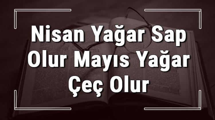 Nisan Yağar Sap Olur Mayıs Yağar Çeç Olur atasözünün anlamı ve örnek cümle içinde kullanımı (TDK)