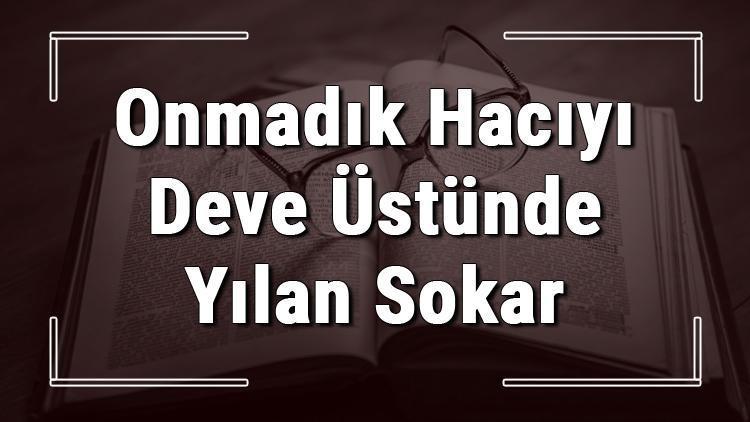 Onmadık Hacıyı Deve Üstünde Yılan Sokar atasözünün anlamı ve örnek cümle içinde kullanımı (TDK)