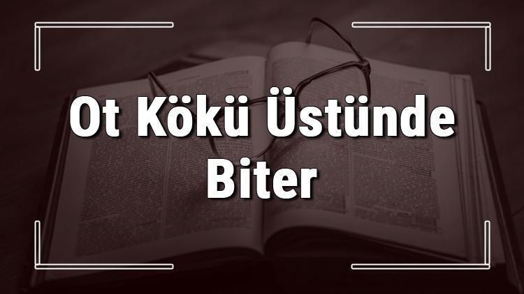 Ot Kökü Üstünde Biter atasözünün anlamı ve örnek cümle içinde kullanımı (TDK)