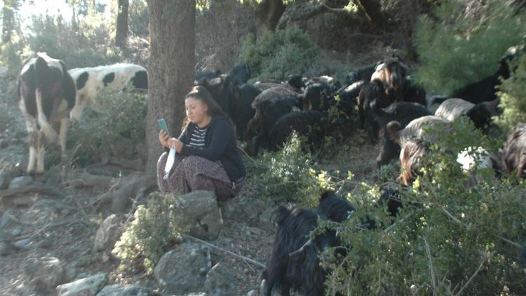 Keçilerini otlatırken canlı derse giriyor