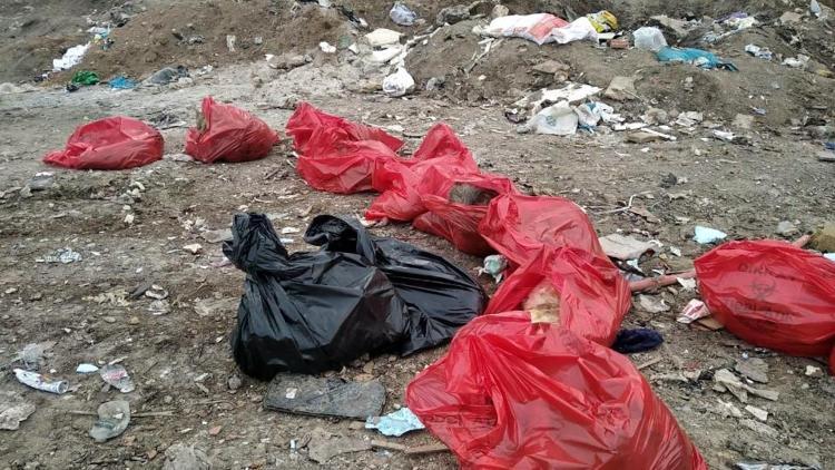 Ankarada molozların arasında 20 ölü köpek bulundu