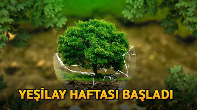 Yeşilay haftası ne zaman İşte Yeşilay Haftası ile ilgili şiirler ve sözler