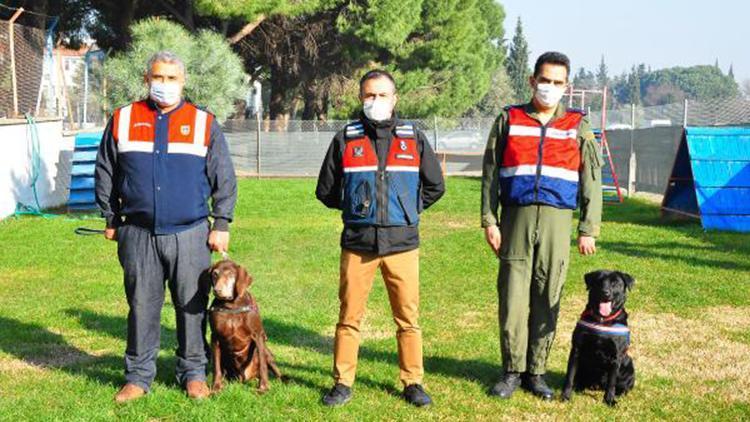 Volta ve Arya zehir tacirlerine göz açtırmıyor