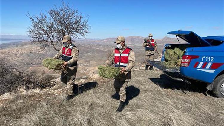 Elazığda jandarma yaban hayatı için doğaya yem bıraktı