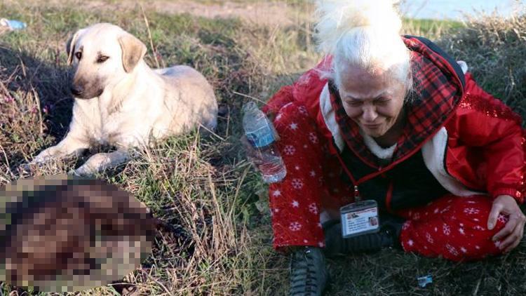 Bunu yapan insan olamaz Edirnede vahşet: 8 yavru köpek yakılarak öldürüldü