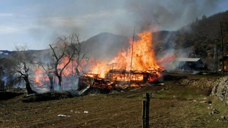 Şavşat’taki yangında 4 ev, 4 ahır ve 4 samanlık yandı