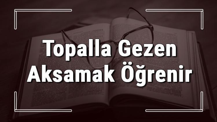 Topalla Gezen Aksamak Öğrenir atasözünün anlamı ve örnek cümle içinde kullanımı (TDK)