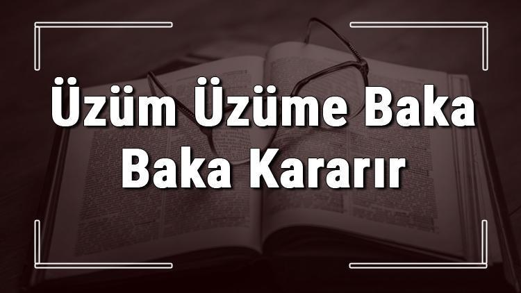 Üzüm Üzüme Baka Baka Kararır atasözünün anlamı ve örnek cümle içinde kullanımı (TDK)