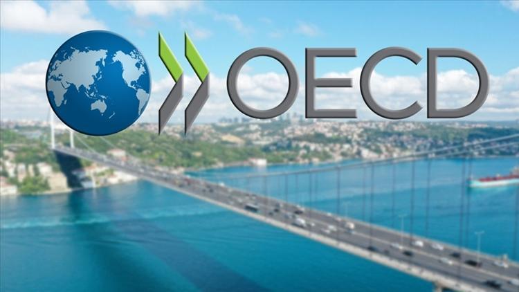 OECD: Türkiye yüzde 5.9 büyüyecek