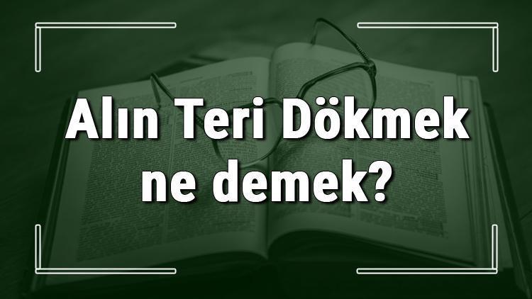 Alın Teri Dökmek ne demek Alın Teri Dökmek deyiminin anlamı ve cümle içinde örnek kullanımı (TDK)