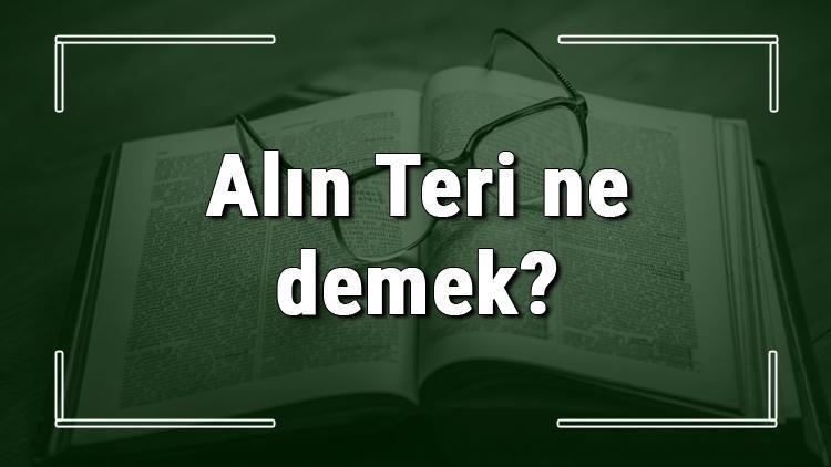 Alın Teri ne demek Alın Teri deyiminin anlamı ve cümle içinde örnek kullanımı (TDK)