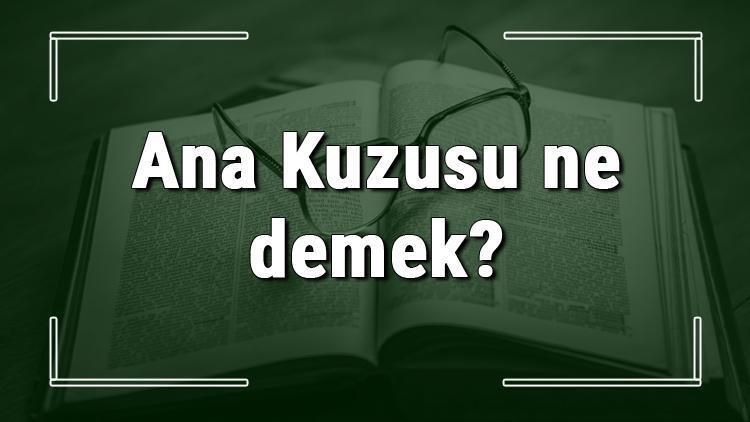 Ana Kuzusu ne demek Ana Kuzusu deyiminin anlamı ve cümle içinde örnek kullanımı (TDK)