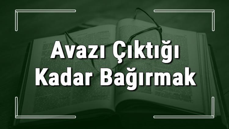 Avazı Çıktığı Kadar Bağırmak deyiminin anlamı ve cümle içinde örnek kullanımı (TDK)