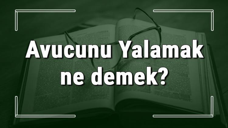 Avucunu Yalamak ne demek Avucunu Yalamak deyiminin anlamı ve cümle içinde örnek kullanımı (TDK)