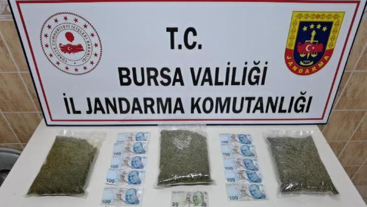 3 kilogram bonzaiyi gömdüğü topraktan çıkartırken yakalandı