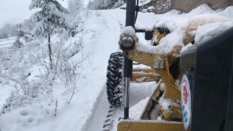 Trabzon ve Rize’de yoğun kar yağışı 108 yerleşim yerinin yolu kapandı