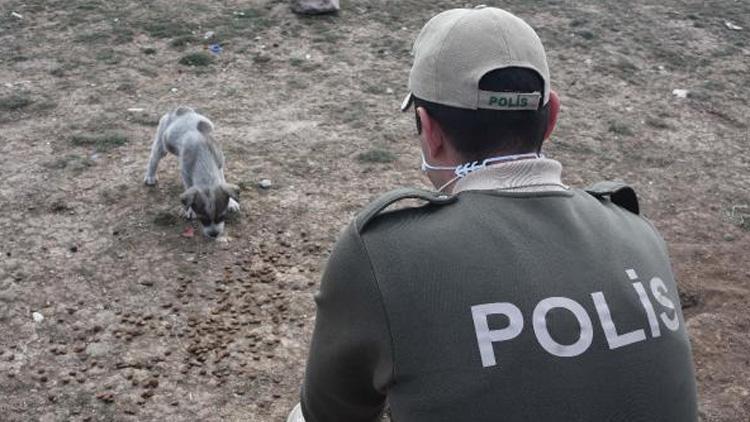 HAYDİ polisleri, sokak hayvanlarına sahip çıkıyor