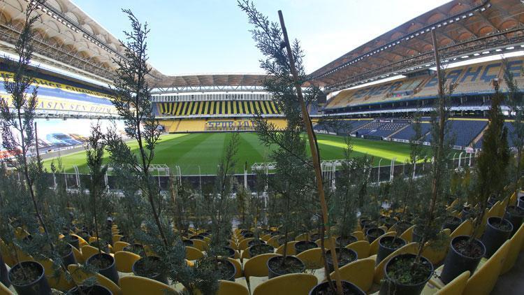 Fenerbahçe - Gençlerbirliği maçı öncesi Kadıköyde tribünlere fidanlar yerleştirildi