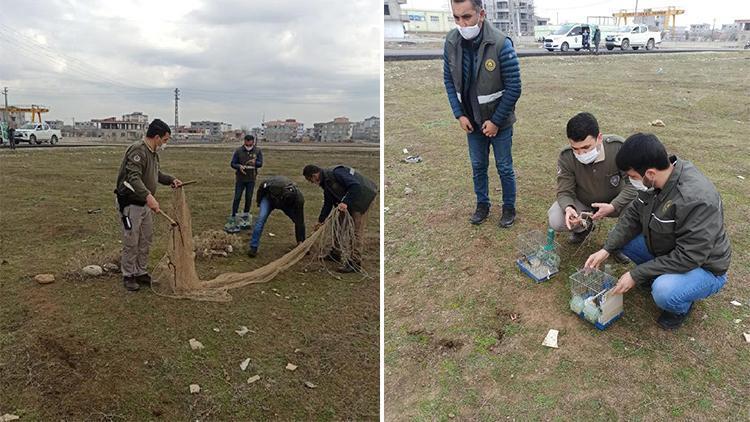 Batmanda saka kuşu avcısına 5 bin 879 TL ceza