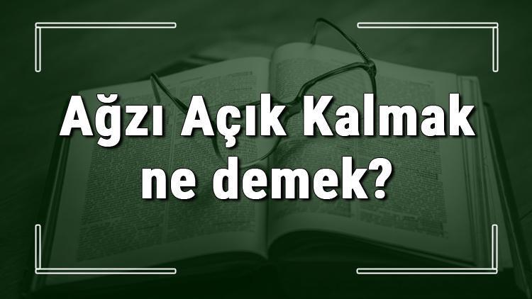 Ağzı Açık Kalmak ne demek Ağzı Açık Kalmak deyiminin anlamı ve cümle içinde örnek kullanımı (TDK)