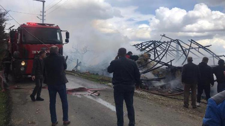 Ahırda çıkan yangında 6 büyükbaş hayvan telef oldu