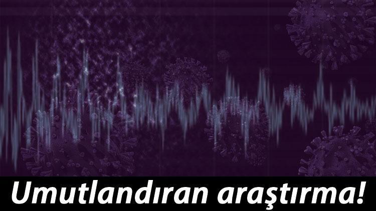 Koronavirüste umutlandıran araştırma Ultrason dalgaları zarar verebilir