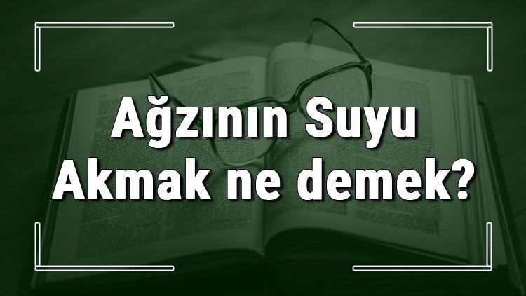 Ağzının Suyu Akmak ne demek Ağzının Suyu Akmak deyiminin anlamı ve cümle içinde örnek kullanımı (TDK)