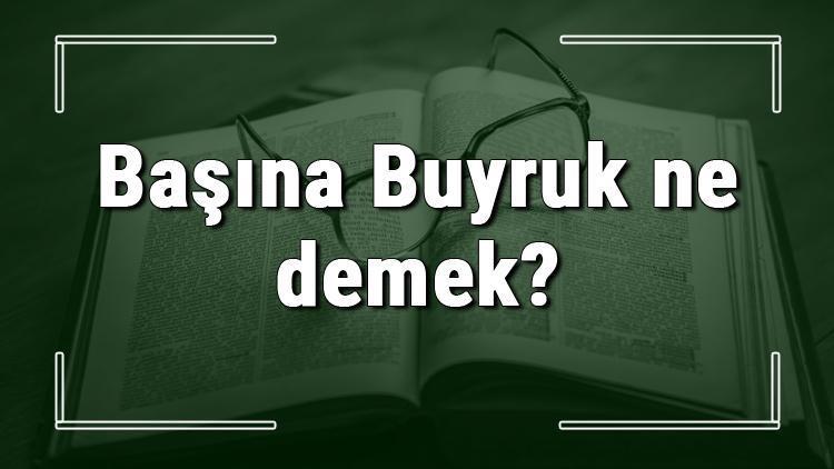 Başına Buyruk ne demek Başına Buyruk deyiminin anlamı ve örnek cümle içinde kullanımı (TDK)