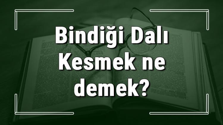 Bindiği Dalı Kesmek ne demek Bindiği Dalı Kesmek deyiminin anlamı ve örnek cümle içinde kullanımı (TDK)