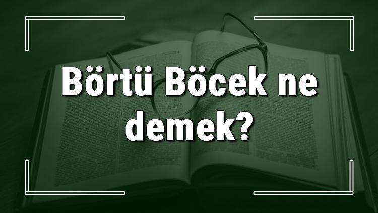 Börtü Böcek ne demek Börtü Böcek deyiminin anlamı ve örnek cümle içinde kullanımı (TDK)