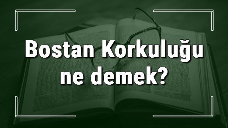 Bostan Korkuluğu ne demek Bostan Korkuluğu deyiminin anlamı ve örnek cümle içinde kullanımı (TDK)