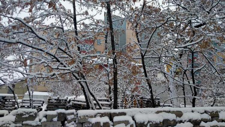 Ağrıda 102 köy yolu, kardan kapandı