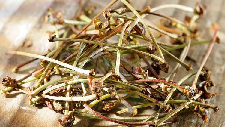 Kiraz sapı çayı nasıl yapılır? İşte kiraz sapı çayının faydaları 