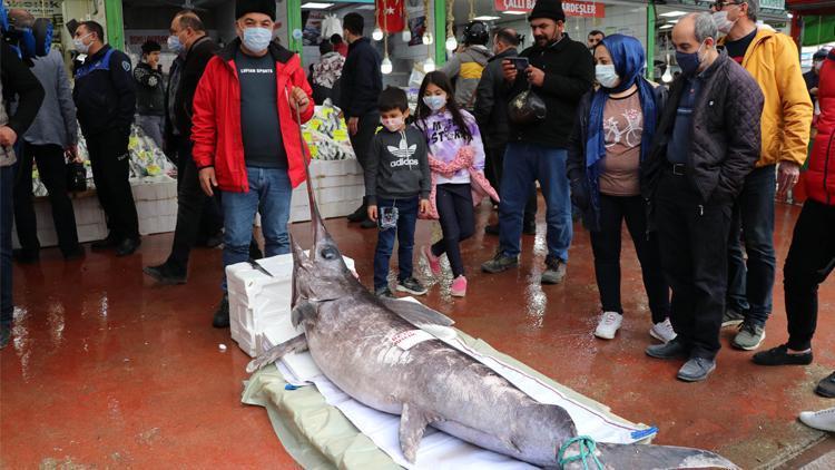 Denizlide satılıyor tam 2.5 metre Görenler hayrete düştü