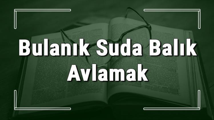 Bulanık Suda Balık Avlamak deyiminin anlamı ve örnek cümle içinde kullanımı (TDK)