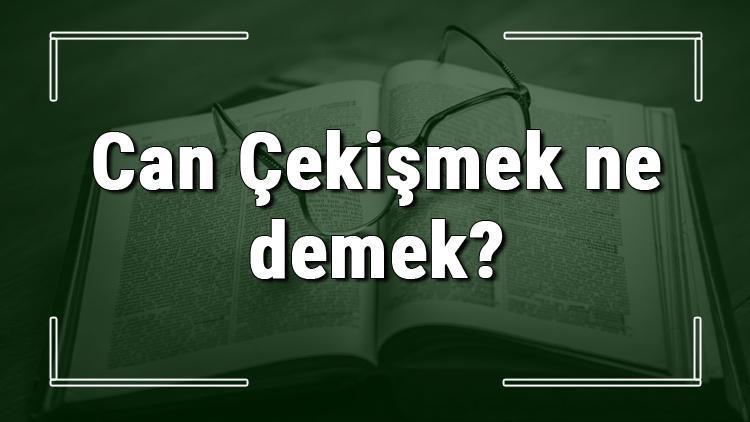 Can Çekişmek ne demek Can Çekişmek deyiminin anlamı ve örnek cümle içinde kullanımı (TDK)