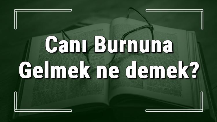 Canı Burnuna Gelmek ne demek Canı Burnuna Gelmek deyiminin anlamı ve örnek cümle içinde kullanımı (TDK)